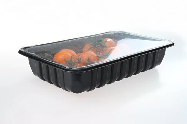 MENIU TERMOSUDABIL 1 COMP MIC (ROSU) 18